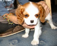 /album/nase-soucasnost/catja-014-jpg/